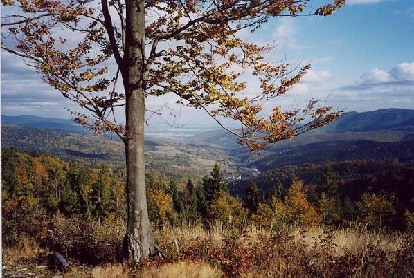 Herbst in Metzenseifen