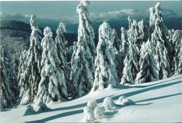 Winterlandschaft bei Metzenseifen